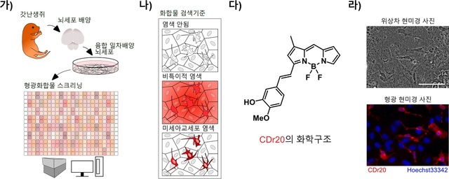 【서울=뉴시스】첨부자료=IBS 제공