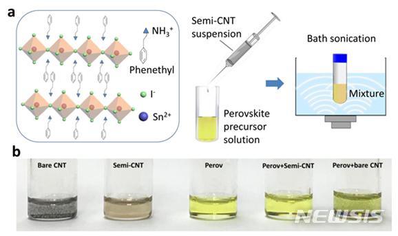 【포항=뉴시스】강진구 기자 = 포스텍(총장 김도연)은 화학공학과 노용영 교수팀이 납성분 없는 페로브스카이트에다 고순도로 분리된 반도체 탄소나노튜브(CNT)를 혼합해 새로운 복합반도체 소재를 개발했다고 7일 밝혔다.2019.05.07.(사진=포스텍 제공) photo@newsis.com