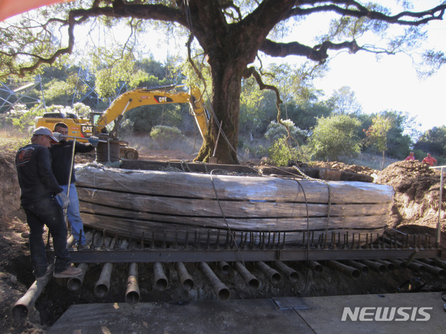 【서노마카운티=AP/뉴시스】미국 캘리포니아 서노마카운티에서 180년된 떡갈나무가 파헤쳐지고 있는 모습. 사진은 서노마카운티의 비영리 환경보호 단체인 서노마 랜드 트러스트(Sonoma Land Trust)가 AP통신에 제공했으며 촬영 날짜는 미상이다. 캘리포니아 서노마카운티 고등법원은 해당 떡갈나무를 제거한 부부에게 벌금 7억원을 선고했다고 폭스뉴스가 8일(현지시간) 보도했다. 2019.05.09.