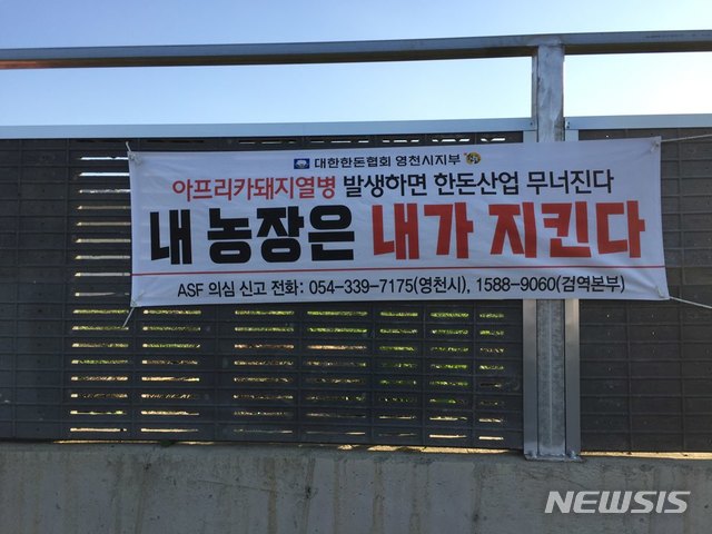 【영천=뉴시스】이은희 기자=북한은 30일 세계동물보건기구(OIE)에 아프리카돼지열병(ASF) 발병사실을 보고했다. 사진은 대한한돈협회 영천시지부가 내건 방역 홍보 현수막. 2019.05.13. (사진= 영천시 제공)photo@newsis.com