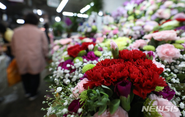 【서울=뉴시스】박미소 기자 = 스승의 날을 하루 앞둔 지난 14일 오후 서울 중구 남대문 꽃시장에 진열된 카네이션을 한 시민이 지나치고 있다. 김영란법(부정청탁 및 금품 등 수수 금지에 관한 법률)에 따르면 학생 개인이 달아주는 카네이션이 금지되고 학생대표 자격으로 공개된 자리에서 카네이션을 주는 행위는 허용된다. 2019.05.14. misocamera@newsis.com