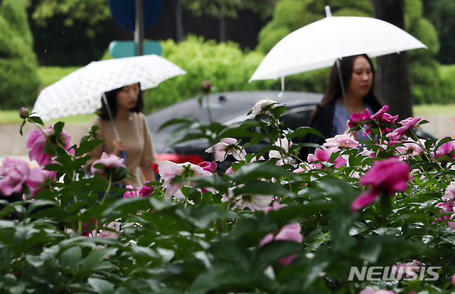 【서울=뉴시스】이종철 기자 = 일요일인 지난달 19일 전국이 대체로 흐리고 빗방울이 떨어지는 가운데 서울 여의도 국회에서 시민들이 우산을 쓰고 작약꽃 옆을 지나가고 있다. 2019.05.19. jc4321@newsis.com