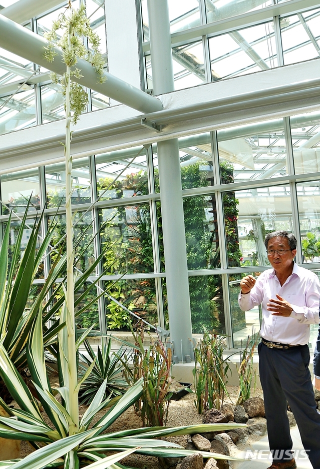 【청주=뉴시스】강신욱 기자 = 20일 충북 청주시 상당구 남일면 청주시농업기술센터 일대에서 오는 23일 개막하는 8회 대한민국 도시농업박람회 열대식물원에서 최동운 청주시농업기술센터 소장이 꽃을 피운 용설란을 설명하고 있다. 2019.05.20. ksw64@newsis.com 