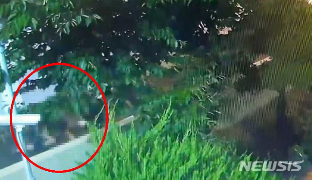 【부산=뉴시스】 부산 동래경찰서는 21일 주택가에서 산책 중이던 여성을 무차별 폭행한 A(45)씨에 대해 상해 등의 혐의로 구속영장을 신청했다고 밝혔다. 사진은 폭행 모습이 담긴 CCTV영상. 2019.05.21. (사진=부산경찰청 제공)photo@newsis.com 