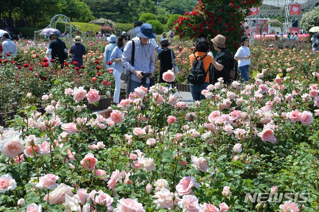 【울산=뉴시스】배병수 기자 = ‘제13회 울산대공원 장미축제’가 23일 울산시 남구 대공원 장미원 및 남문광장 일원에서 ‘러브스토 인 울산’을 주제로 개막한 가운데 가족,연인, 친구와 함께 장미원을 찾은 많은 시민들과 관광객들이 300만송이 장미향 가득한 장미꽃길을 걸으며 즐거운 시간을 보내고 있다. 2019.05.23. bbs@newsis.com.