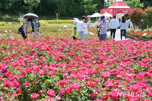 울산시, 지역 관광 정보 한눈에 볼 수 있는 전자책 제작