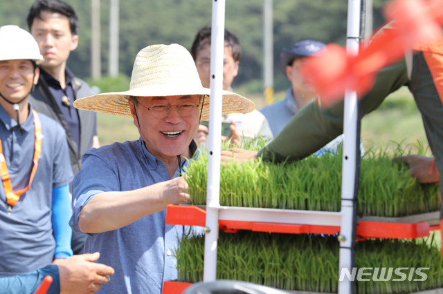 【경주=뉴시스】박진희 기자 = 문재인 대통령이 24일 경북 경주시 옥산마을 모내기 현장에서 이앙기에 모판을 적재하고 있다. 2019.05.24.&nbsp; pak7130@newsis.com