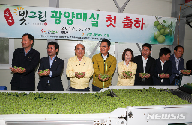 【광양=뉴시스】김석훈 기자 = 27일 전남 광양시 광양동부농협 옥곡지점에서 2019년 광양매실 출하식이 열리고 있다. 2019.05.27. (사진=광양시청 제공)kim@newsis.com 