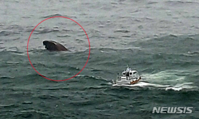 【부산=뉴시스】 하경민 기자 = 27일 낮 12시 31분께 부산 서구 두도 북동쪽 2.2㎞ 해상에서 유창 청소선 A호(22t·승선원 3명)가 전복돼 승선원 3명 중 1명은 인근에 있던 도선선에서 의해 구조됐지만 나머지 선원 2명은 실종됐다. 2019.05.27. (사진=부산해경 제공)yulnetphoto@newsis.com 