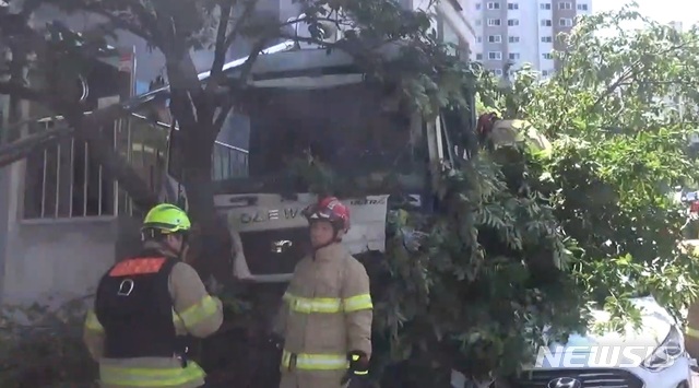 【서울=뉴시스】서울 관악소방서는 31일 오전 11시22분께 관악구 신림동에서 브레이크가 파열된 한 카고트럭이 차량과 사람을 피해 인도로 돌진했다고 밝혔다. 2019.05.31(사진=관악소방서 제공)