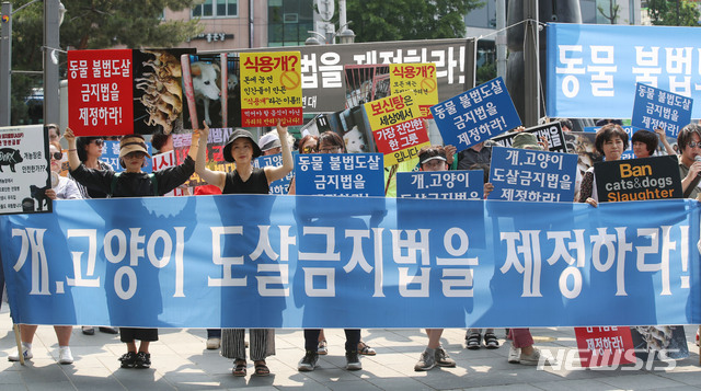 【서울=뉴시스】박미소 기자 = 동물 불법도살 반대 시민모임 회원들이 2일 오후 서울 종로구 북인사광장에서 열린 '동물 불법도살 금지법 제정 촉구 집회'에서 손피켓을 들고 있다. 2019.06.02. misocamera@newsis.com