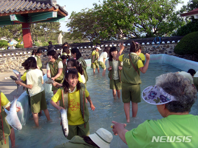 【해남=뉴시스】박상수 기자 = 맨손 숭어잡이. 2019.06.04. (사진=해남군 제공) photo@newsis.com