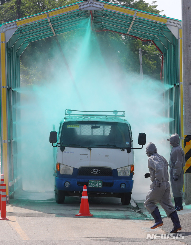 경기 파주서 아프리카 돼지열병 첫 확진(종합)