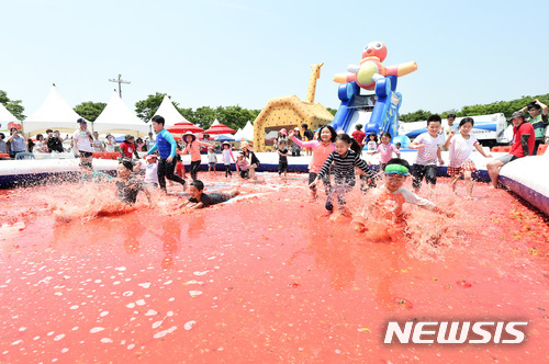 퇴촌축제장의 토마토 풀장.