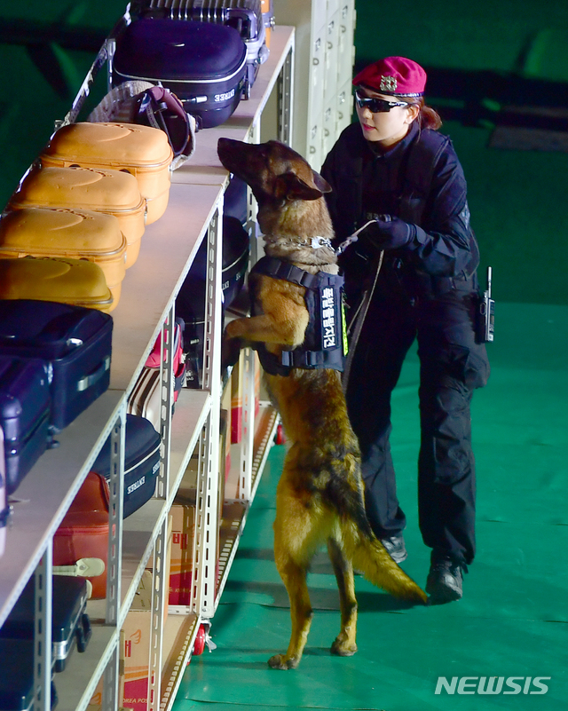 [광주=뉴시스] 폭발물 탐지견 수색. (사진=뉴시스 DB). photo@newsis.com