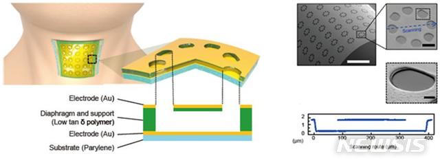 【포항=뉴시스】강진구 기자 = 포스텍 화학공학과 조길원 교수·박사과정 이시영 씨, 전자전기공학과 정윤영 교수팀은 음성을 인식하는 ‘피부 부착형 고성능 진동감지 유연센서’를 개발하는데 성공했다고 20일 밝혔다.사진은 진동감지 유연센서 모식도.2019.06.20.(사진=포스텍 제공) photo@newsis.com