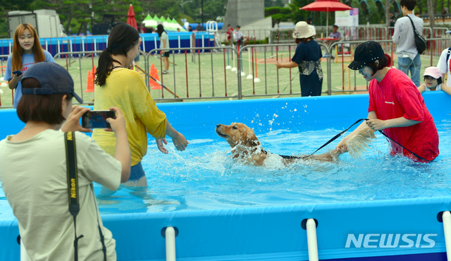 【광주=뉴시스】류형근 기자 = '평화의 물결 속으로(DIVE INTO PEACE)' 2019광주FINA세계수영선수권대회 개막이 20일 앞으로 다가온 22일 오전 광주 동구 조선대학교 운동장에서 '전국반려견수영대회'가 열리고 있다. 2019.06.22 hgryu77@newsis.com