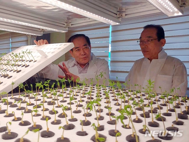 【보은=뉴시스】경기도 용인 ㈜상록수 식물공장 견학하는 정상혁 충북 보은군수.(사진=보은군 제공) photo@newsis.com