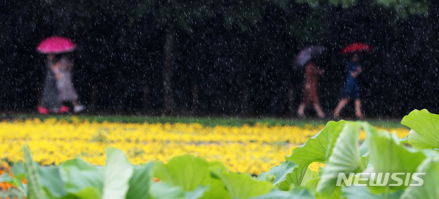 【서울=뉴시스】박미소 기자 = 올해 첫 장맛비가 내린 지난 26일 오전 경남 함양군 상림공원을 찾은 관광객들이 우산을 쓴 채 걸어가고 있다.2019.06.26.(사진=함양군 김용만 주무관 제공)photo@newsis.com