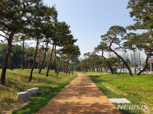 【수원=뉴시스】김경호 기자= 1973년 경기도지방기념물 제19호로 지정된수원시 장안구 이목동 면적 2만170㎡에 이르는 노송(老松)지대.&nbsp;&nbsp; 