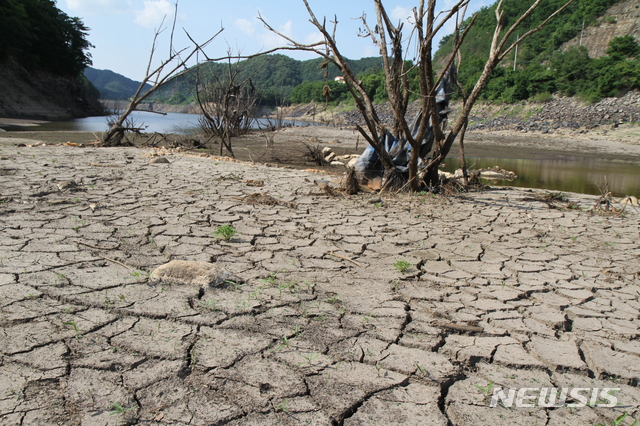 【철원=뉴시스】한윤식 기자 = 최근 강원 영서지역에 가뭄이 지속되는 가운데 2일 강원 철원군 근남면 잠곡댐 상류가 거북이 등처럼 갈라진 바닥을 드러내고 있다. 2019.07.02. ysh@newsis.com 