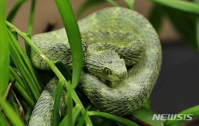[원추 오늘의운세]뱀띠 음력 5·8·9월생, 마음만 비우면 즐거워집니다
