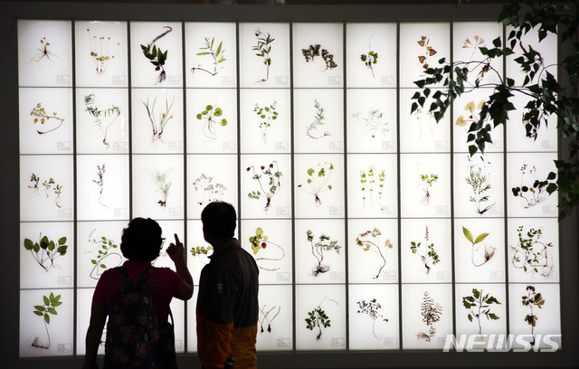 【산청=뉴시스】 경남 산청한방약초축제 약초표본 전시 모습.