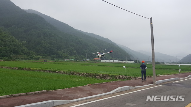 【의령=뉴시스】벼 병해충 무인헬기 공동방제. 2019.07.09. (사진=의령군 제공) photo@newsis.com