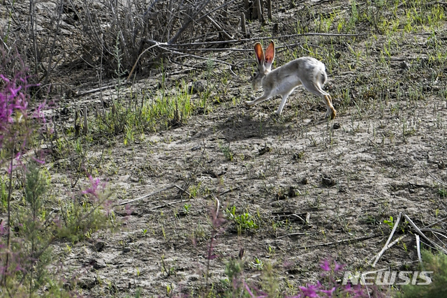 [원추 오늘의운세]토끼띠, 어수선한 주변 정리하고 하나만 택하세요