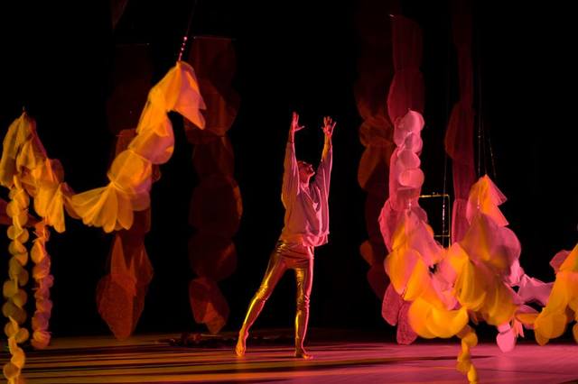 스웨덴 달리아 아신 '마음의 정원'