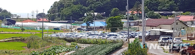 【인천공항=뉴시스】홍찬선 기자 = 여름 성수기를 앞두고 인천공항에 불법주차대행이 기승을 부리고 있다. 사진은 지난 12일 오후 인천공항 인근 농가에 주차된 차량들. 2019.07.13. mania@newsis.com