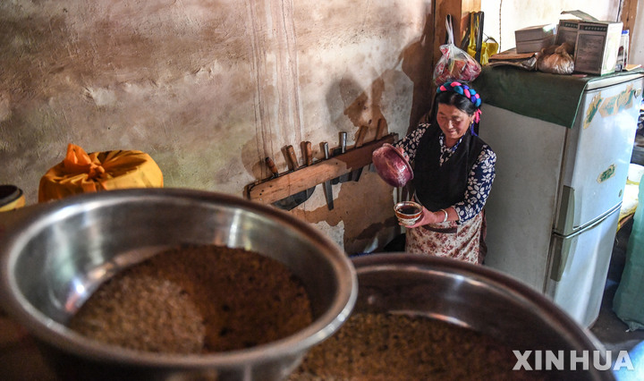 [라싸=신화/뉴시스] 중국 티베트자치구 창두시 망캄현 나시읍의 한 주민이 집에서 와인을 만들고 있다. photo@newsis.com 