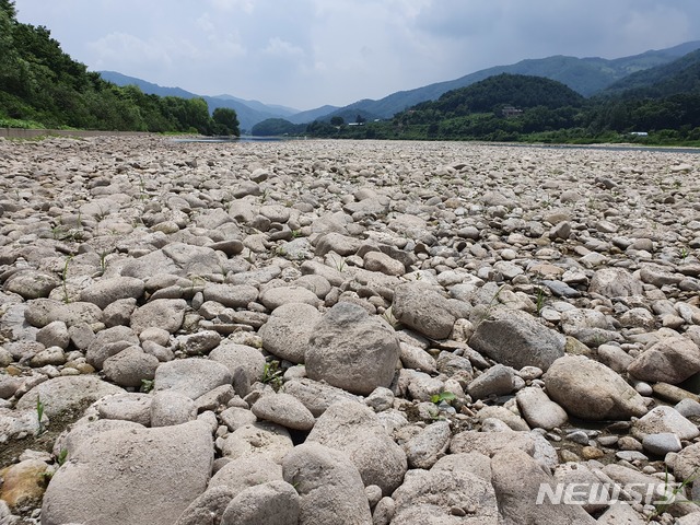 【춘천=뉴시스】한윤식 기자 = 최근 강원 영서지역에 가뭄이 지속되는 가운데 13일 춘천시 사북면 지촌리 춘천댐 상류가 바닥을 드러내고 있다. 올들어 강원 영서지역에는 220mm의 강수량을 보며 평년대비 512mm의 43%에 그쳤다. 2019.07.13.ysh@newsis.com&nbsp; 