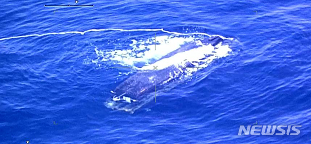 【서울=뉴시스】합동참모본부는 15일 "지난 13일 토요일 하루에만 3척의 북한 무인 목선이 동해상으로 떠내려 와 군이 관계기관과 협조해 관련 절차에 따라 조치했다"고 밝혔다. 사진은 지난 13일 오후 1시27분께 해군 P-3 해상초계기가 울릉도 북방에서 초계하다 울릉도 북방 64㎞, NLL 남방 55㎞ 지점에서 뒤집힌 채 떠 있는 배를 발견된 모습. 군은 초계함을 현장으로 보내 확인한 결과 무인 목선으로, 대공혐의점이 없어 파괴 조치했다. 2019.07.15. (사진=합참 제공) photo@newsis.com