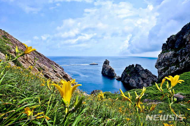 [신안=뉴시스] 홍도 원추리꽃. (사진=신안군 제공) photo@newsis.com