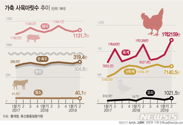 한우·닭 사육수, 집계 이래 가장 많다