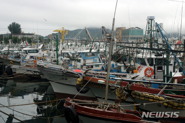 【여수=뉴시스】김석훈 기자 = 제5호 태풍 '다나스(DANAS)'의 북상과 남해안 상륙 소식이 전해진 19일 오전 전남 여수시 국동항에 1만 여척의 중·소형 어선들이 피항해 있다. 2019.07.19.kim@newsis.com