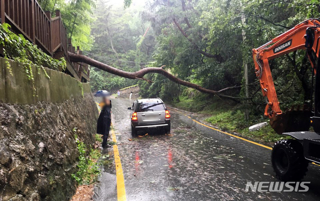 【부산=뉴시스】 부산지역에 호우·강풍특보가 발령된 20일 오전 부산 금정구의 한 산복도로에서 가로수가 부러져 도로 쪽으로 쓰러졌다. 이로 인해 보행 테크 일부가 파손됐지만 인명 및 차량 피해는 없었으며, 현재 금정구청 직원들이 안전조치작업을 하고 있다고 경찰은 전했다. 2019.07.20. (사진=부산경찰청 제공) photo@newsis.com
