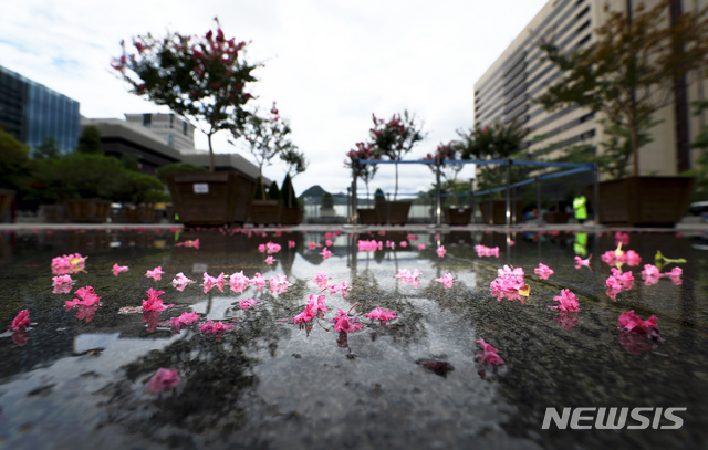 【서울=뉴시스】 이윤청 기자 = 태풍 '다나스(DANAS)'가 20일 오전 제주도 지역에 강한 비바람을 몰고 왔으나 남부 지방에 상륙하며 급격히 약화됐다. 사진은 20일 오전 서울 광화문광장의 모습. 2019.07.20. radiohead@newsis.com