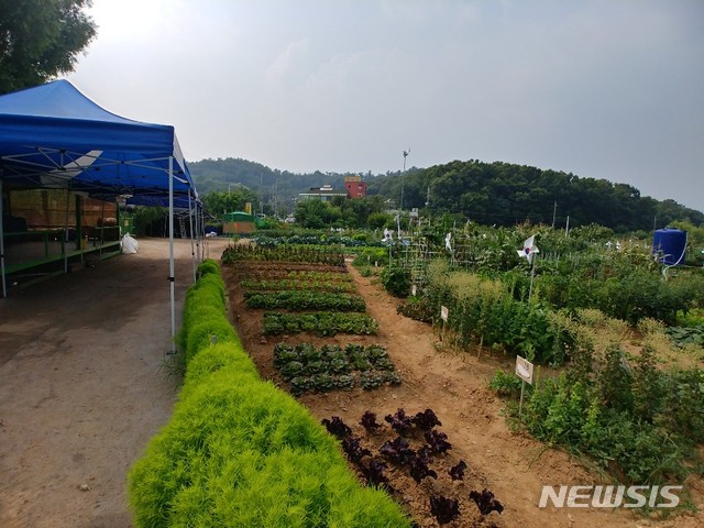 【서울=뉴시스】 금천 힐링가족 여름캠핑장. 2019.07.22. (사진=금천구 제공)