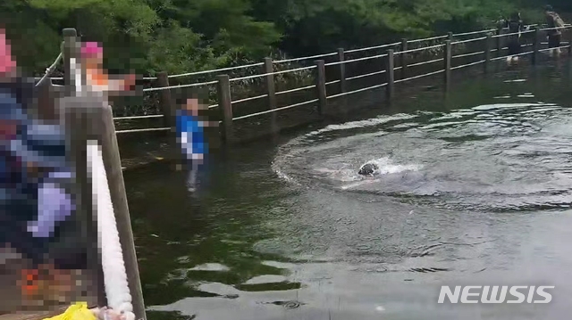 【제주=뉴시스】 강경태 기자 = 제보자가 한 인터넷 커뮤니티 사이트에 올린 한라산국립공원 사라오름에서 수영한 등산객을 촬영한 사진 캡쳐. (사진=SLR클럽 홈페이지 캡쳐)