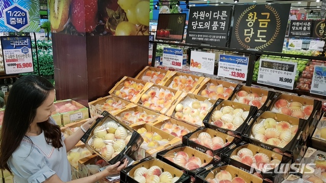 【서울=뉴시스】롯데마트 '황금당도 복숭아'