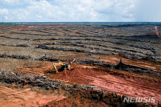 [서울=뉴시스]인도네시아 동부 파푸아 지역에서 팜유 생산을 위해 벌이고 있는 플랜테이션으로 열대우림이 경작지로 바뀌고 있는 모습. 지난주 아시아 일부 지역을 강타한 대규모 홍수와 산사태로 인한 사망자가 4일 1500명을 넘어선 가운데 무분별한 개발, 광산, 팜유 농장으로 인한 수십년 간의 산림 벌채로 피해가 악화됐을 수 있다는 경고가 잇따르면서 산림 벌채와의 싸움에 당장 나서야 한다는 요구가 커지고 있다. <사진 출처 : 마이티 어스 웹사이트> 2025.12.04
