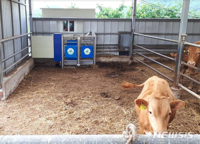 【울산=뉴시스】조현철 기자 = 울산농업기술센터는 26일 AI 로봇을 응용한 맞춤형 로봇 포유기 활용 시범사업이 축산 농가로부터 호응을 얻고 있다고 밝혔다. 2019.07.26. (사진=울산시 제공) photo@newsis.com 