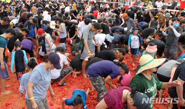 【화천=뉴시스】한윤식 기자 = 강원 화천 토마토축제 둘째날인 2일 화천군 사내면 사창리 일원에서 관광객들이 황금반지를 찾으며 즐거운 시간을 보내고 있다. 2019.08.02.&nbsp;&nbsp;&nbsp;&nbsp; ysh@newsis.com 