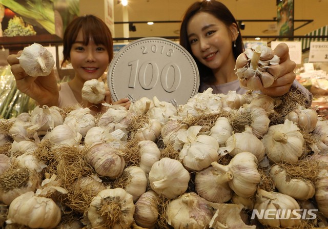 김장, 양념채소는 강원 화천산이 좋아요