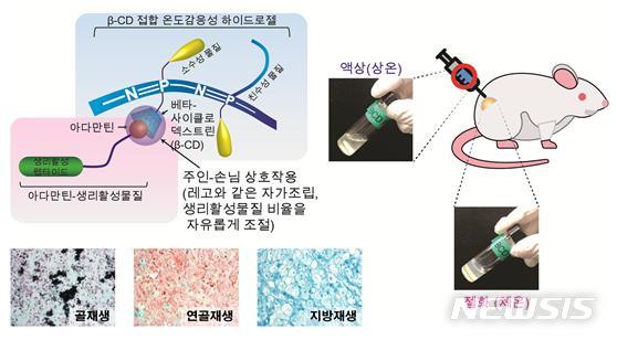 【서울=뉴시스】온도감응성 하이드로젤 및 생리활성물질 조절을 통한 맞춤형 조직재생. (사진/KIST 제공)  photo@newsis.com