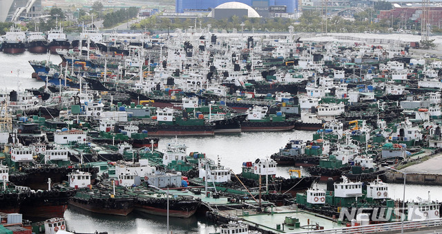 【부산=뉴시스】 하경민 기자 = 제10호 태풍 '크로사'(KROSA) 북상 중인 14일 오후 부산 동구 부산항 5부두에 선박들이 미리 대피해 있다. 부산기상청은 오는 15일 새벽 부산지역에 태풍특보가 발효될 것으로 예보했으며, 예상강수량(14일 밤부터 15일 오후 6시까지)은 30~80㎜, 많은 곳은 120㎜이상이다. 2019.08.14. yulnetphoto@newsis.com