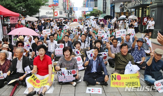 【청주=뉴시스】강신욱 기자 = 74주년 광복절을 맞은 15일 오후 충북 청주시 성안길에서 일본의 경제침략을 규탄하는 도민대회가 충북3·1운동·대한민국 100주년 기념사업 범도민위원회와 일본경제보복침략저지 공동대책위원회 주최로 열리고 있다. 2019.08.15. ksw64@newsis.com 