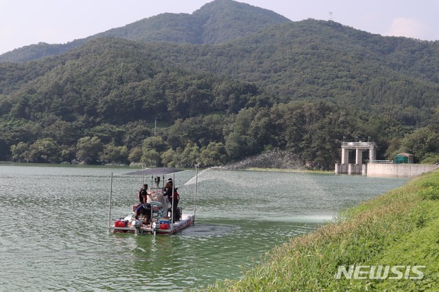 [아산=뉴시스] 한국농어촌공사 아산지사 직원들이 지난 2019년 8월 도고저수지에서 여름철 농촌용수 수질관리를 위한 친환경 녹조제거제를 살포하고 있다. (사진=뉴시스 DB). photo@newsis.com 